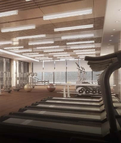Gymnasium – Sai World Empire